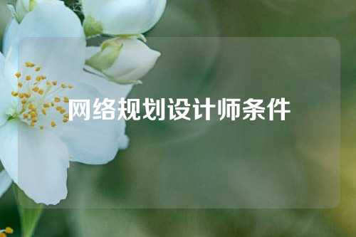 网络规划设计师条件