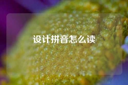 设计拼音怎么读