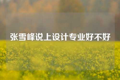 张雪峰说上设计专业好不好