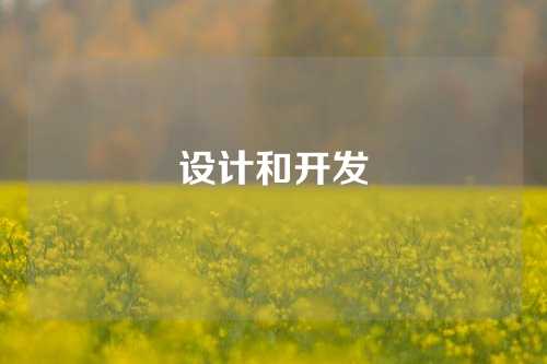 设计和开发