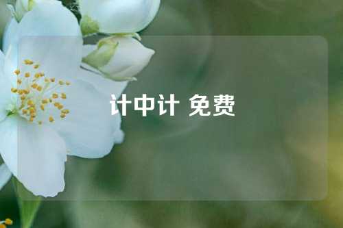计中计 免费