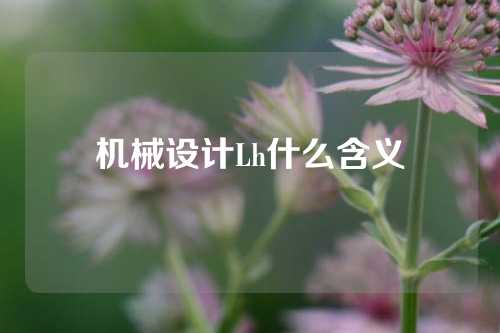 机械设计Lh什么含义