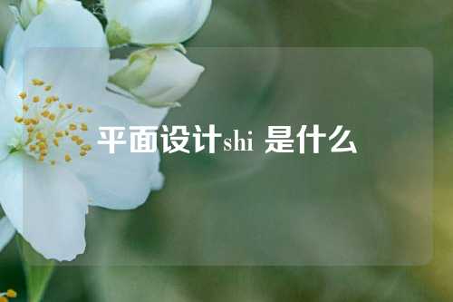 平面设计shi 是什么