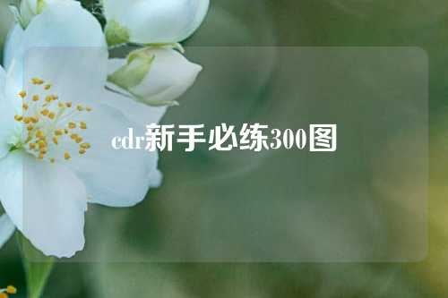 cdr新手必练300图