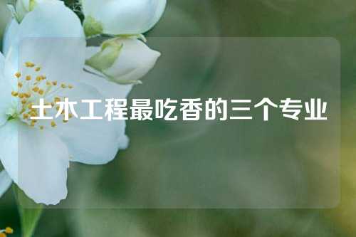 土木工程最吃香的三个专业