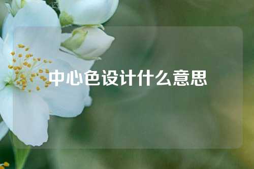 中心色设计什么意思