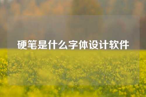 硬笔是什么字体设计软件