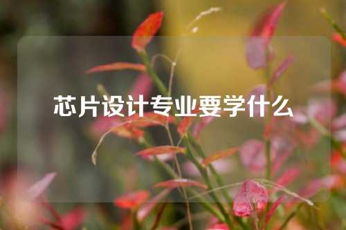 芯片设计专业要学什么