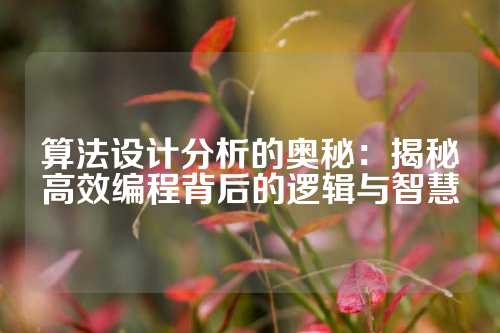 算法设计分析的奥秘：揭秘高效编程背后的逻辑与智慧