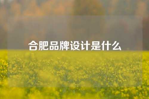 合肥品牌设计是什么
