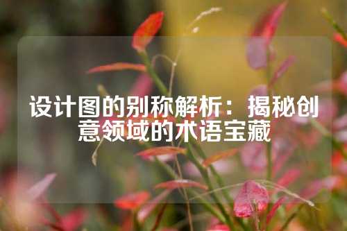 设计图的别称解析：揭秘创意领域的术语宝藏
