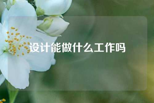 设计能做什么工作吗