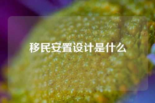 移民安置设计是什么