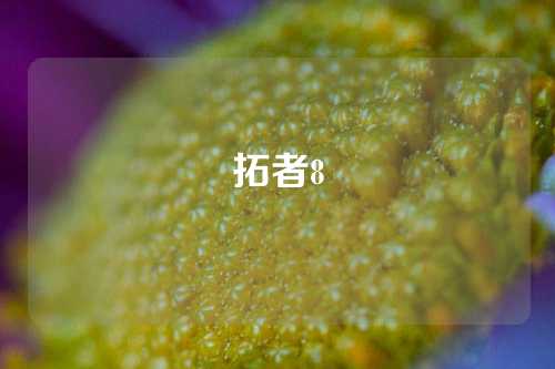 拓者8