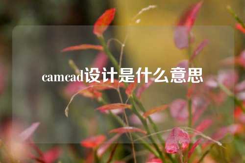 camcad设计是什么意思