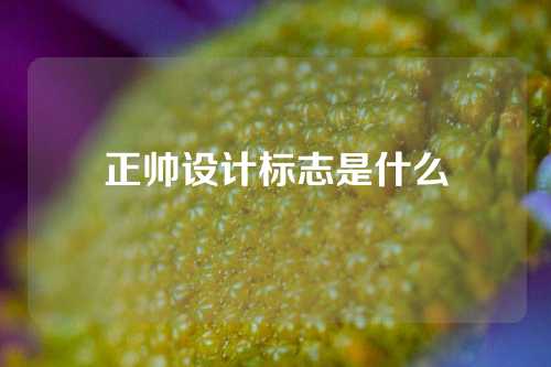 正帅设计标志是什么