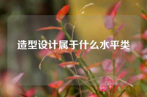 造型设计属于什么水平类