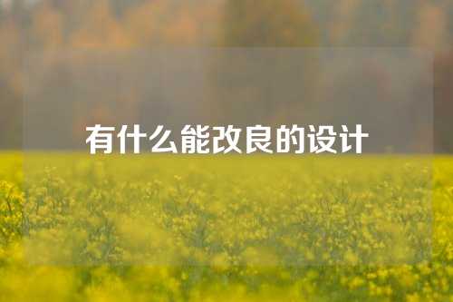 有什么能改良的设计