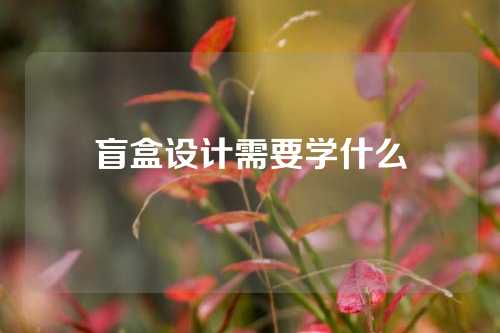 盲盒设计需要学什么