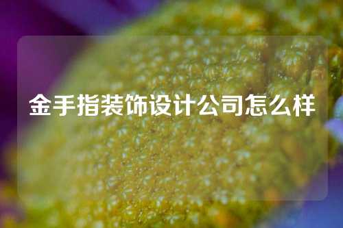 金手指装饰设计公司怎么样