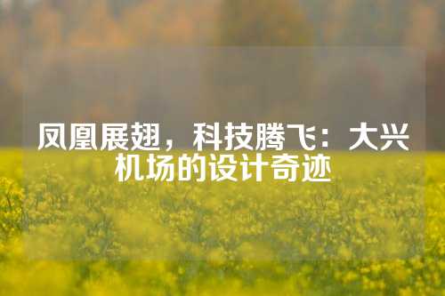 凤凰展翅，科技腾飞：大兴机场的设计奇迹
