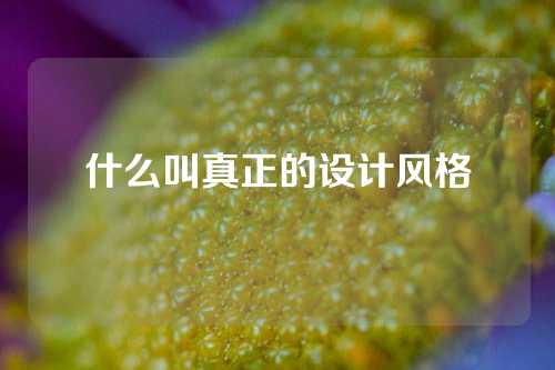 什么叫真正的设计风格