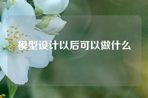 模型设计以后可以做什么