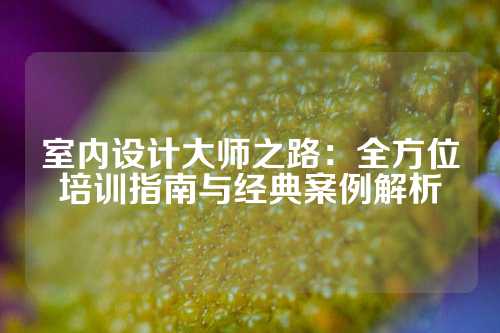 室内设计大师之路：全方位培训指南与经典案例解析
