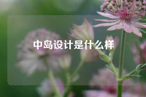 中岛设计是什么样