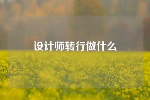 设计师转行做什么