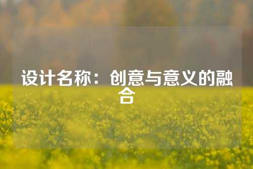 设计名称：创意与意义的融合