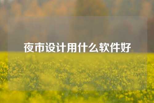 夜市设计用什么软件好