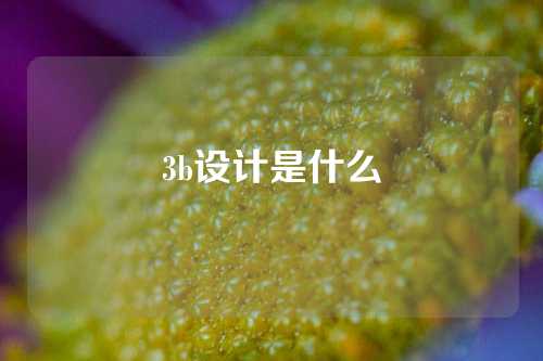 3b设计是什么