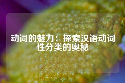 动词的魅力：探索汉语动词性分类的奥秘
