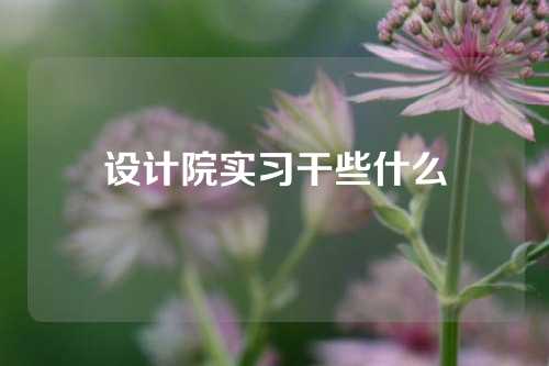 设计院实习干些什么