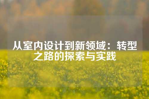从室内设计到新领域：转型之路的探索与实践