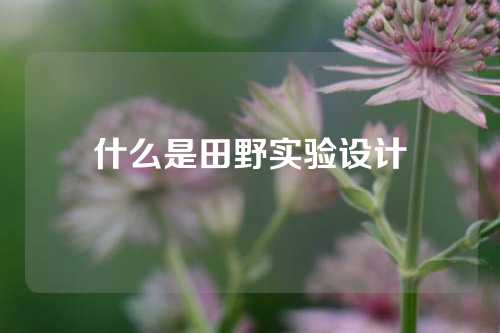 什么是田野实验设计