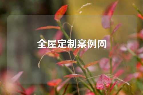 全屋定制案例网