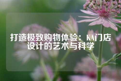 打造极致购物体验：KA门店设计的艺术与科学