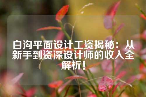 白沟平面设计工资揭秘：从新手到资深设计师的收入全解析！