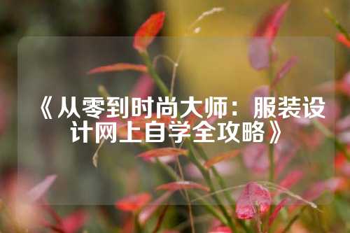 《从零到时尚大师：服装设计网上自学全攻略》